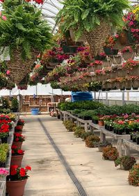 planter box